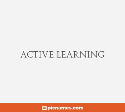 Active Learning